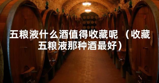 五粮液什么酒值得收藏呢 （收藏五粮液那种酒最好）